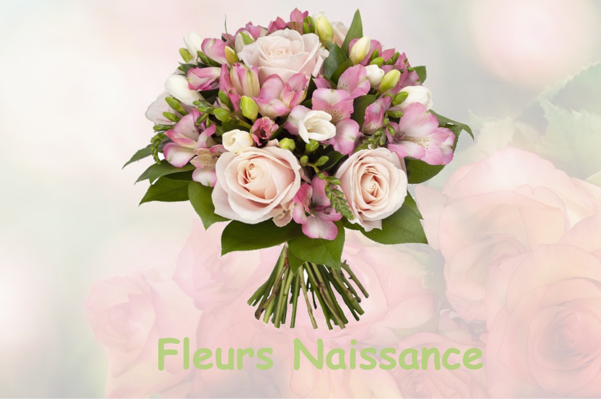 fleurs naissance SAINT-SAUVEUR-DE-CARROUGES
